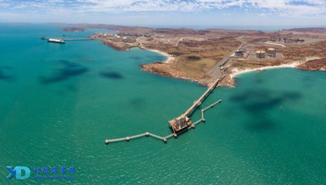 视频验证或 视频验证或